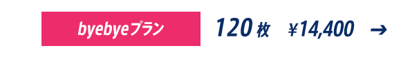 byebyeプラン